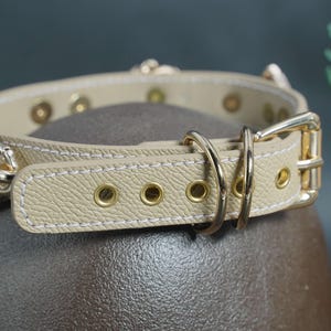 Puede incluir: Un collar de perro de cuero beige con herrajes dorados y cierre de hebilla. El collar tiene un borde cosido y m&uacute;ltiples ojales dorados.