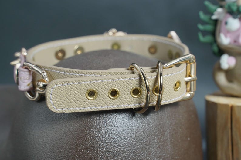 Puede incluir: Un collar de perro de cuero beige con herrajes dorados y cierre de hebilla. El collar tiene un borde cosido y m&uacute;ltiples ojales dorados.