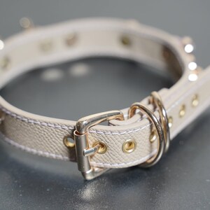 Puede incluir: Un collar de perro de cuero beige con herrajes dorados y cierre de hebilla. El collar tiene una superficie texturizada y m&uacute;ltiples agujeros peque&ntilde;os.