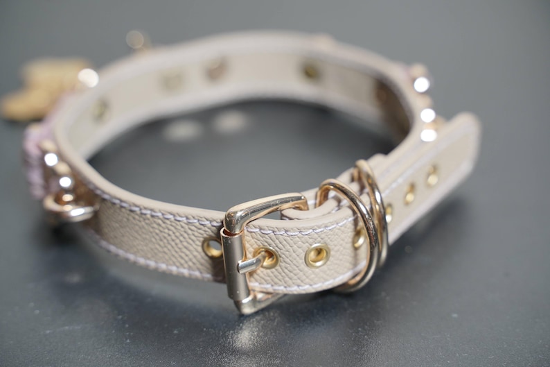 Puede incluir: Un collar de perro de cuero beige con herrajes dorados y cierre de hebilla. El collar tiene una superficie texturizada y m&uacute;ltiples agujeros peque&ntilde;os.