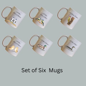 Funny Bird Mugs