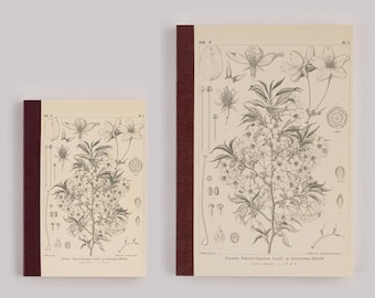 May include: Two notebooks with botanical illustrations. The covers feature a detailed black and white drawing of a flowering plant with scientific annotations. The spines are a deep burgundy color, and the pages have a cream-colored background.