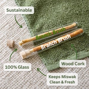 Op de afbeelding: Twee "Branch Brush" miswak-stokken in heldere glazen buizen met houten kurken, met de labels "Sustainable", "100% Glass" en "Keeps Miswak Clean & Fresh". De miswak-stokken zijn lichtbruin, de achtergrond is een groene handdoek.