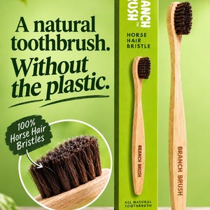 Könnte beinhalten: Eine Holzzahnbürste mit dunkelbraunen Pferdehaarborsten, präsentiert neben einer hohen grünen Schachtel mit der Aufschrift Branch Brush. Die Verpackung enthält den Text A natural toothbrush. Without the plastic. und 100% Horse Hair Bristles.