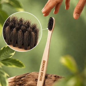 Könnte beinhalten: Eine hellfarbene Holzzahnbürste mit schwarzen Borsten und dem auf den Griff gedruckten Text BRANCH BRUSH. Ein kreisförmiges Detailbild zeigt eine vergrößerte Ansicht der dunklen, dichten Borstenstruktur des Zahnbürstenkopfes.