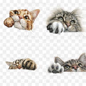 May include: Four cat illustrations in various poses. One is a ginger tabby peeking over with a paw, another is a grey tabby with green eyes, a third is a sleeping tabby, and the last is a tabby with a paw.