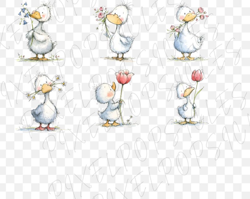 May include: Watercolor illustrations of charming white ducks holding flowers. Each duck has a yellow beak and is depicted with a soft, fluffy appearance. The flowers include bluebells, pink roses, and red tulips, adding a touch of color.