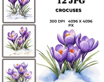 Watercolor Crocus Clipart: Spring Floral Illustrations (Digital Download)