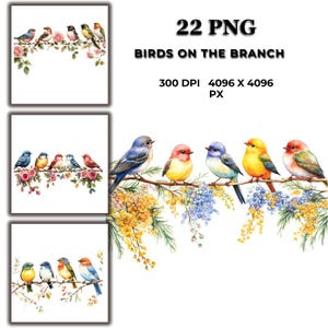 枝に止まる鳥のクリップアート – カード、招待状、壁アート、工芸品、デジタルプロジェクト用の気まぐれな水彩画の鳥のイラスト