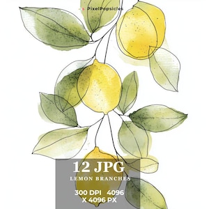 Citroentakken clipart-12 hoge kwaliteit jpg, digitale download, aquarel citroen, botanische clipart, afdrukbare graphics, journaling