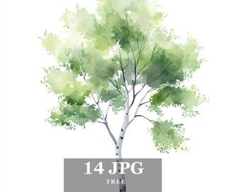 Watercolor Tree Clipart: Minimalist Illustrations Digital Download for Crafts & Design