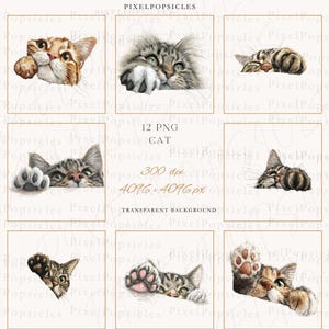 May include: A set of watercolour illustrations of cats in different poses. The images show cats with detailed fur and expressive eyes, peeking over edges, sleeping, and showing their paws. The text "12 PNG CAT" is visible. The images are set against a neutral background.