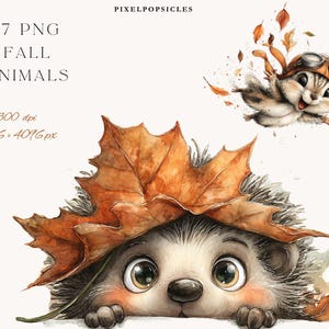 May include: Watercolor illustration of a hedgehog peeking out from under a large orange leaf, with a flying chipmunk wearing goggles. The image includes text that reads "17 PNG Fall Animals" and details about the image resolution.