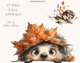Autumn Woodland Animals Clipart Bundle: Fall Forest PNG Images (Digital Download 1#
