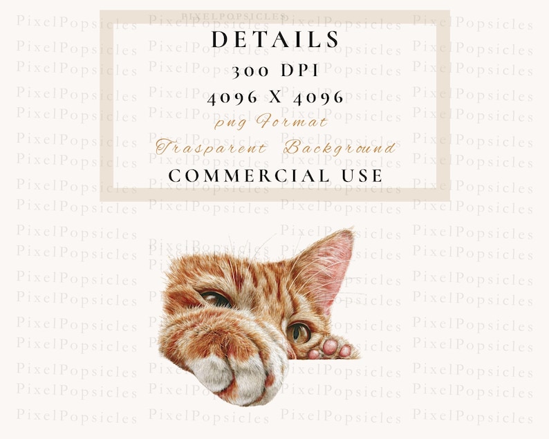 May include: A digital illustration of a ginger cat's face and paws, with detailed fur and expressive eyes. The image includes text that reads "DETAILS", "300 DPI", "4096 X 4096", "png Format", "Transparent Background", and "COMMERCIAL USE".
