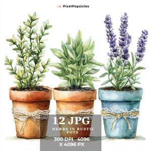 Könnte beinhalten: Drei Aquarell-Illustrationen von Kräutern in rustikalen Töpfen. Die Töpfe sind mit Spitze und Schnur verziert. Die Kräuter sind Lavendel, Salbei und Thymian.