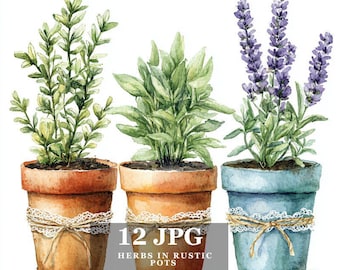 Rustic Potted Herbs Clipart: Watercolor Herb Illustrations (Digital Download)