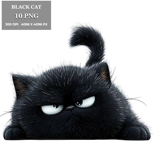 Mürrische schwarze Katze PNG Clipart, 10 Bildpaket, 300 DPI, digitaler Download