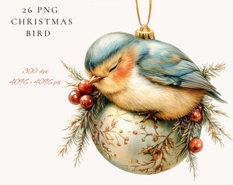 Christmas Bird Clipart Set: Watercolor PNG Images Digital Download Boho Nursery Art Bundle