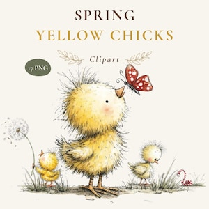 May include: Digital illustration featuring three fluffy yellow chicks, a red butterfly, a dandelion, and a small worm. The text reads SPRING YELLOW CHICKS, Clipart, and 17 PNG. The chicks have textured feathers, orange beaks, and small feet.