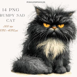 May include: Illustration of a grumpy, sad cat with black fur, yellow eyes, and a white patch on its chest. The image includes the text "14 PNG GRUMPY SAD CAT" and details about the image resolution.