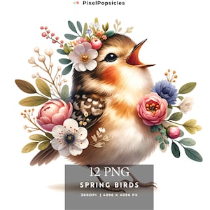 12 Cute Spring Birds png, Cute Birds Clipart png, Scrapbooking, Card Making,Cute Nursery Spring Bundle Commercial, Instant Download