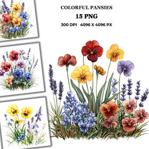 Clipart pensées colorées - illustrations de fleurs aquarelles vibrantes pour cartes, invitations, t-shirts, travaux manuels et projets numériques