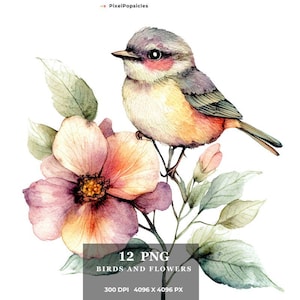 12 Pequenos Pássaros e Flores Png, Cute Birds Clipart png, Scrapbooking, Criação de Cartões, Cute Nursery Spring Bundle Comercial, Download Instantâneo
