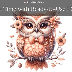 11 Cute Owl Clip Art, Baby Bird , Cute PNG Girl Glasses, Kids Shirt ...