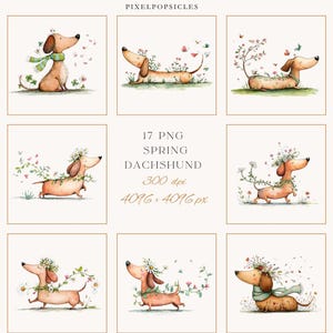 May include: A collection of watercolour illustrations featuring dachshunds decorated with floral garlands, butterflies, and scarves. The images have a spring theme, with a soft colour palette and the text "17 PNG Spring Dachshund 300 dpi 4096 x 4096 px".