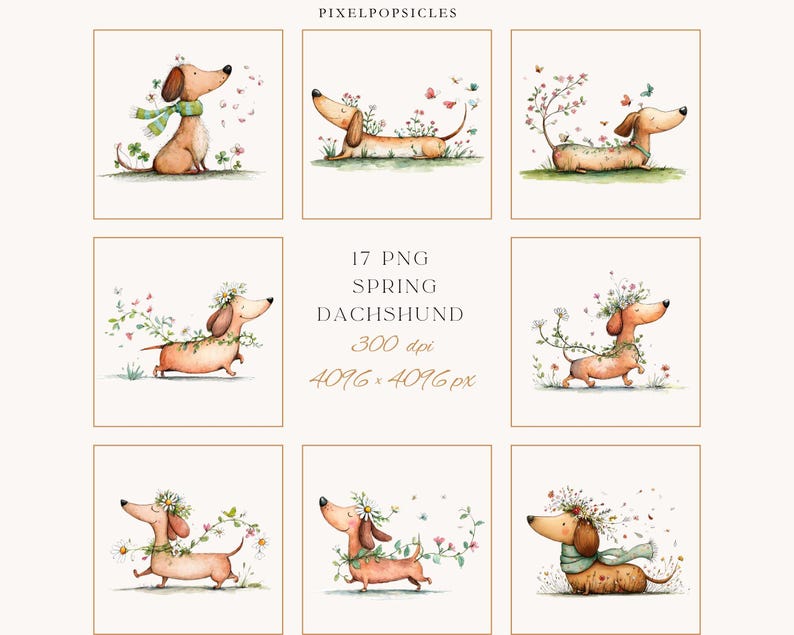May include: A collection of watercolour illustrations featuring dachshunds decorated with floral garlands, butterflies, and scarves. The images have a spring theme, with a soft colour palette and the text "17 PNG Spring Dachshund 300 dpi 4096 x 4096 px".