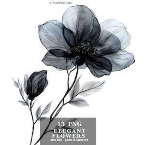 13 Black Flowers Ink Art Clipart, Delicate png, Printable Watercolor clipart, Digital download, High resolution, Paper craft, junk journals