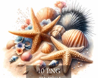 Seashells Clipart, Starfish, Beach Coastal PNG Graphics, Watercolor Sea Shells, Digital Download