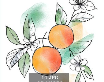 Watercolor Orange Branches Clipart: Botanical Illustrations