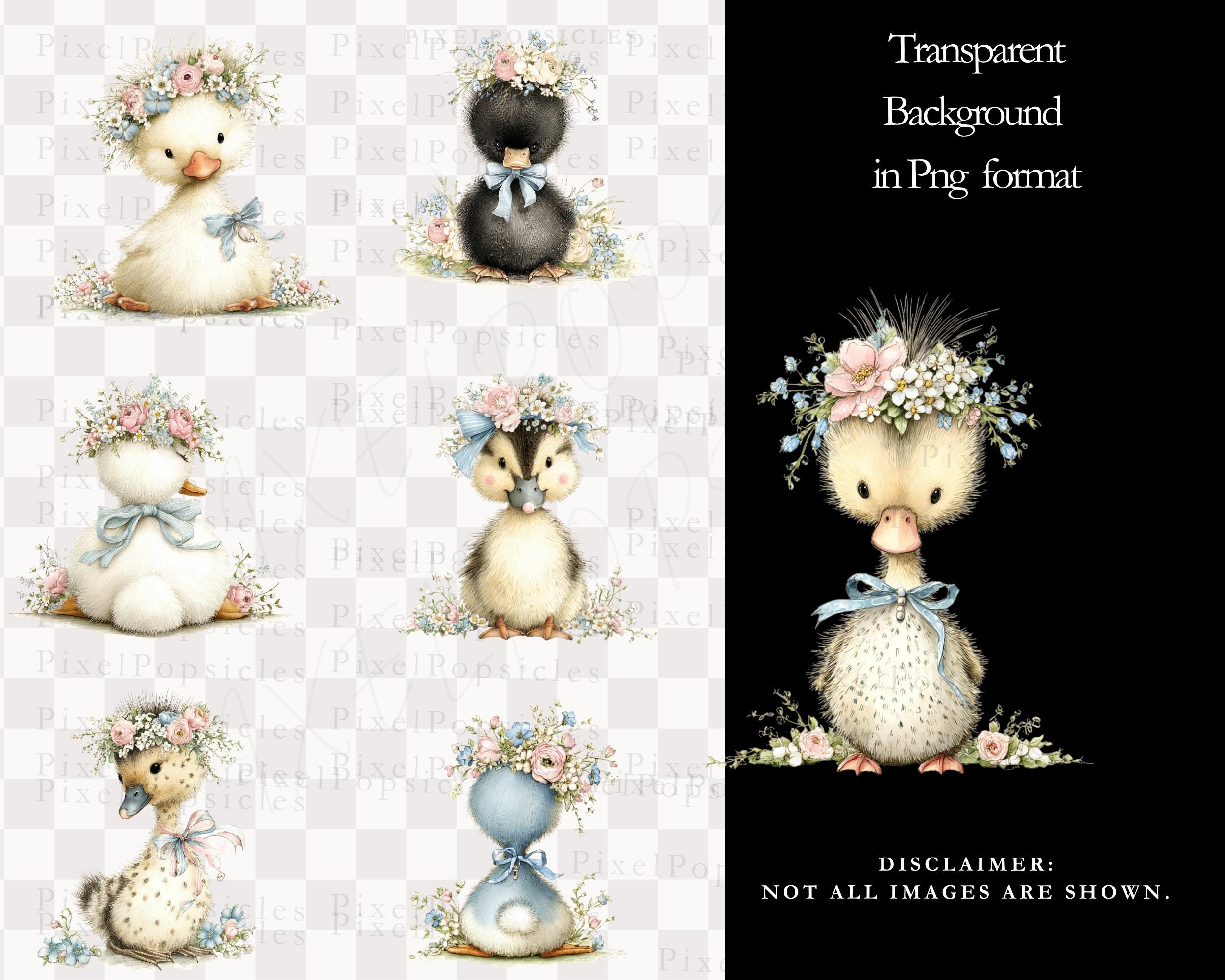 Watercolor Duck Clipart Set - Baby Farm Animals PNG, Spring Floral ...