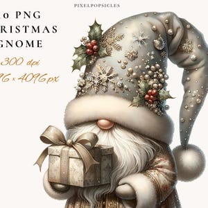 Op de afbeelding: Illustratie van een kerstkabouter met een geschenkdoos. De kabouter draagt een zilveren hoed versierd met sneeuwvlokken, parels en hulst. De afbeelding bevat de tekst "10 PNG Christmas Gnome" en details over de resolutie.