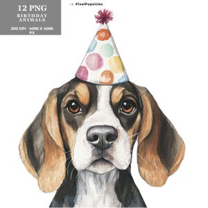 May include: A watercolour painting of a Beagle dog wearing a colourful party hat with white polka dots. The dog has brown and black fur and is looking directly at the viewer.