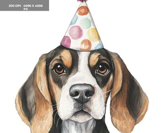パーティーアニマルクリップアート：気まぐれな誕生日PNGバンドル（デジタルダウンロード）