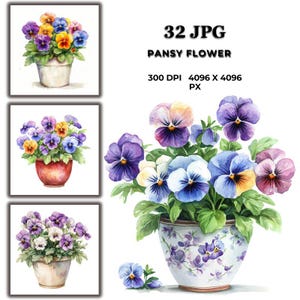32 Watercolor Pansy Flower Clipart: Elegant Floral Illustrations (Digital Download)