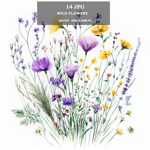 14 cliparts fleurs sauvages - Aquarelle florale jpg, art numérique botanique fantaisiste pour cartes, autocollants, t-shirts, sublimation et impression à la demande