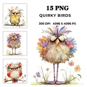 15 Petits oiseaux originaux Png, Clipart png d'oiseaux mignons, Scrapbooking, fabrication de cartes, Bundle de printemps pour chambre d'enfant, Commercial, téléchargement immédiat