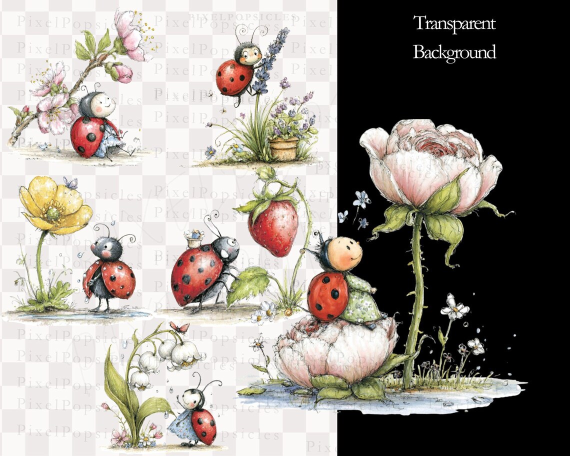 Spring Ladybug Clipart Bundle | 12 PNG Transparent Watercolor Insects ...