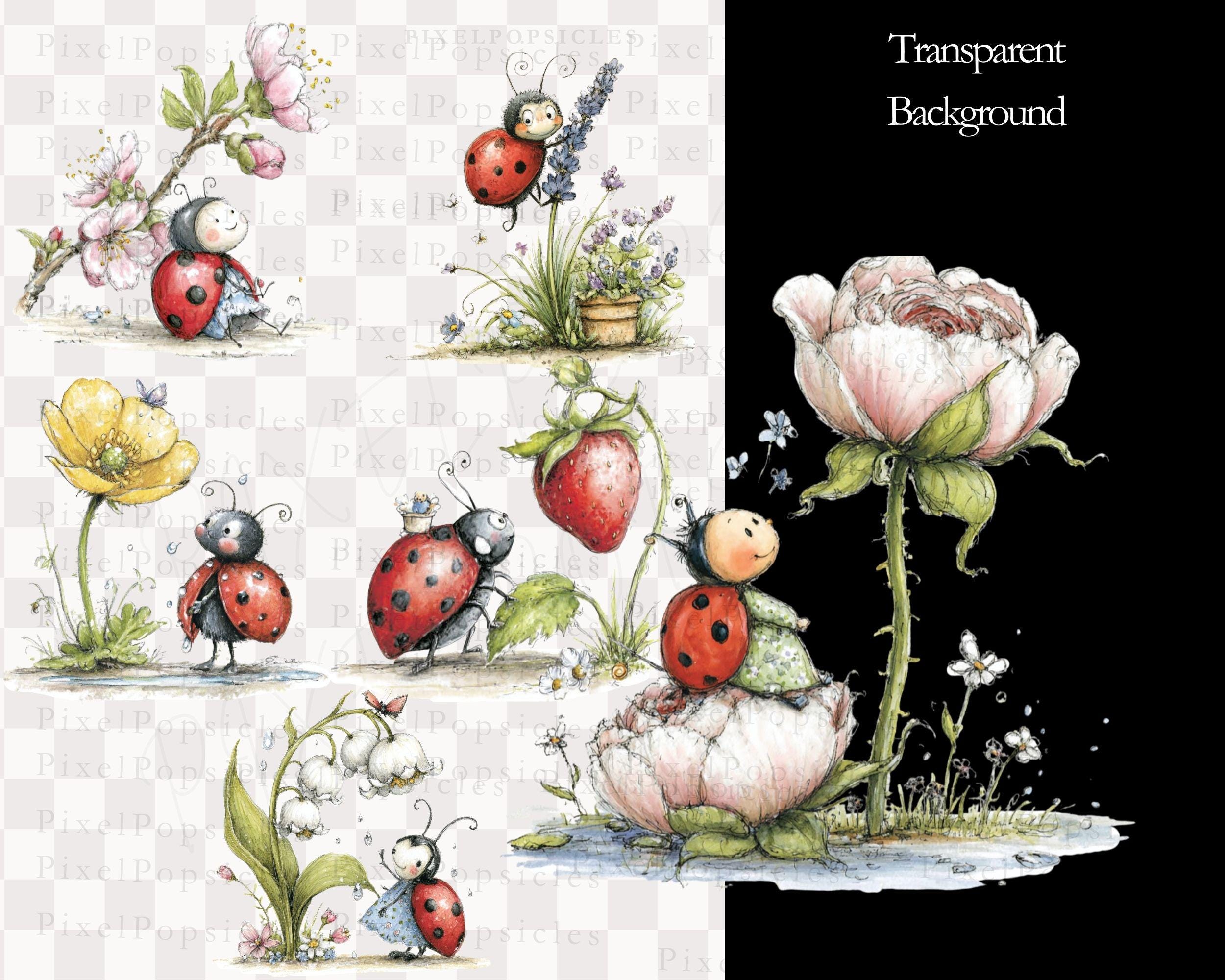 Spring Ladybug Clipart Bundle | 12 PNG Transparent Watercolor Insects ...