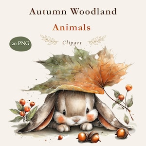 Op de afbeelding: Een aquarelillustratie van een bruin konijn dat zich verschuilt onder een groot oranje en groen herfstblad. De tekst luidt Autumn Woodland Animals 20 PNG Clipart. De scène bevat kleine oranje bessen en eikels rondom het konijn.