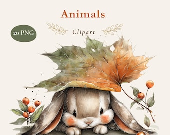 Op de afbeelding: Een aquarelillustratie van een bruin konijn dat zich verschuilt onder een groot oranje en groen herfstblad. De tekst luidt Autumn Woodland Animals 20 PNG Clipart. De scène bevat kleine oranje bessen en eikels rondom het konijn.