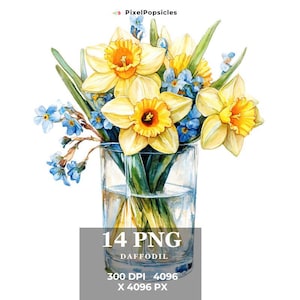14 Watercolors Daffodil Flowers ClipArt png, Watercolor Flowers, Romantic Flower Clipart, Vintage, Commercial Use, Instant Digital Download