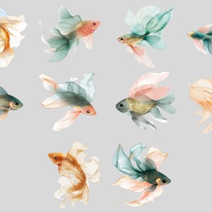 K&ouml;nnte beinhalten: Zehn Aquarellbilder von Betta-Fischen mit flie&szlig;enden Flossen in verschiedenen Farben, darunter Blau, Gr&uuml;n, Rosa, Orange und Gold.
