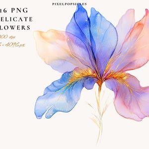 16 aquarelbloemen clipart: wilde bloemen png-afbeeldingen (digitale download) 1#
