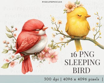 Watercolor Spring Birds Clipart Bundle, Sleeping Bird PNG Graphics