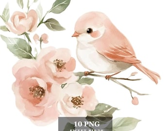 Spring Birds Clipart, Watercolor PNG, Nursery Decor